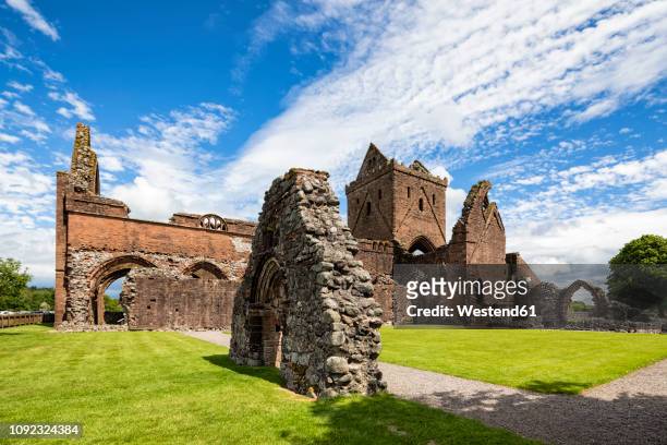 united kingdom, scotland, dumfries and galloway, sweetheart abbey - dumfries and galloway stock pictures, royalty-free photos & images