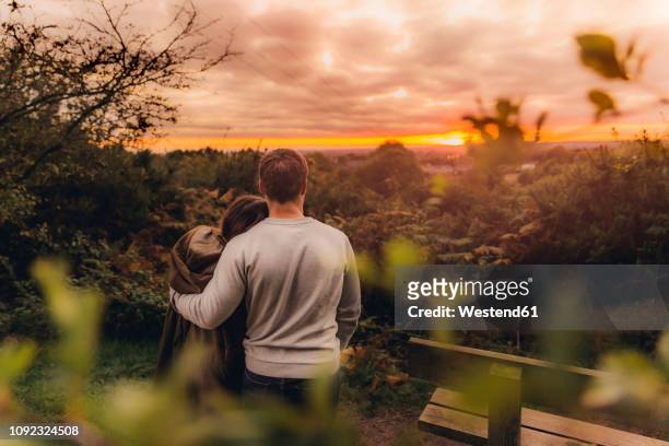 back view of couple in love in autumnal nature watching sunset - couple sunset stockfoto's en -beelden