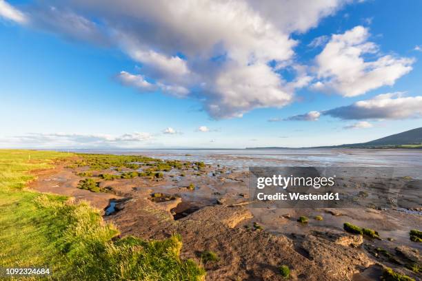 great britain, scotland, caerlaverock national nature reserve, channel of lochar water - dumfries et galloway photos et images de collection