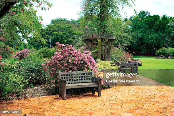 singapore, singapore botanic gardens - singapore botanic gardens ストックフォトと画像