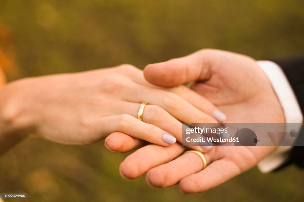 Bridal couple holding hands, showing wedding rings