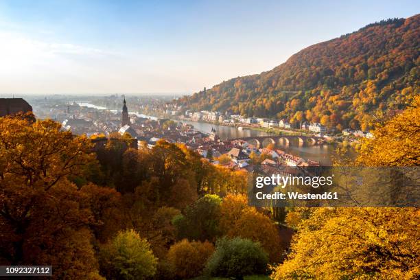 germany, baden-wuerttemberg, heidelberg, city view in autumn - heidelberg alemania fotografías e imágenes de stock