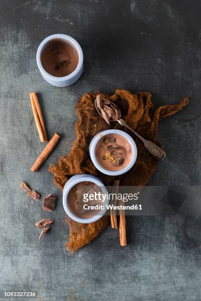 chocolate pudding with cinnamon - chocolate pudding imagens e fotografias de stock