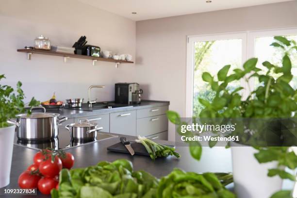 empty kitchen with fresh vegetable on kitchen counter - privatküche stock-fotos und bilder