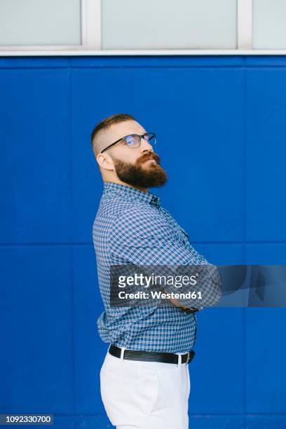 portrait of bearded hipster businessman wearing plaid shirt standing in front of blue background - arrogant stock-fotos und bilder