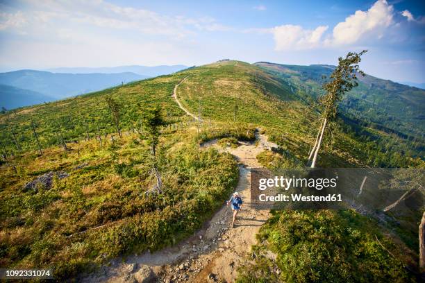 drone view of man hiking in the mountains - footpath aerial stock pictures, royalty-free photos & images