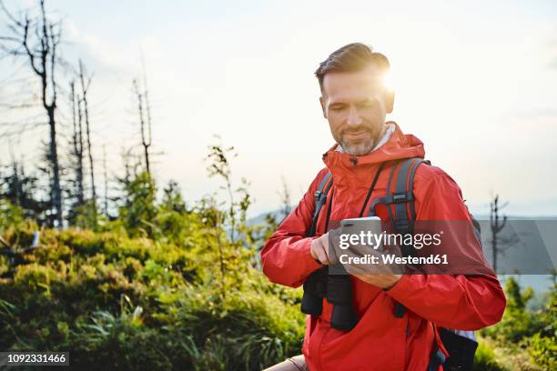 smiling man checking his cell phone during hiking trip - poland people stock pictures, royalty-free photos & images