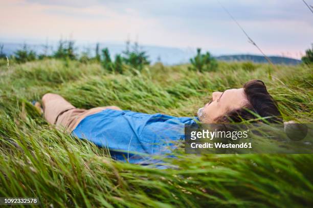 relaxed man lying in grass - long grass bildbanksfoton och bilder