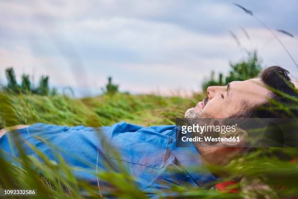 relaxed man lying in grass - mid adult men stock pictures, royalty-free photos & images