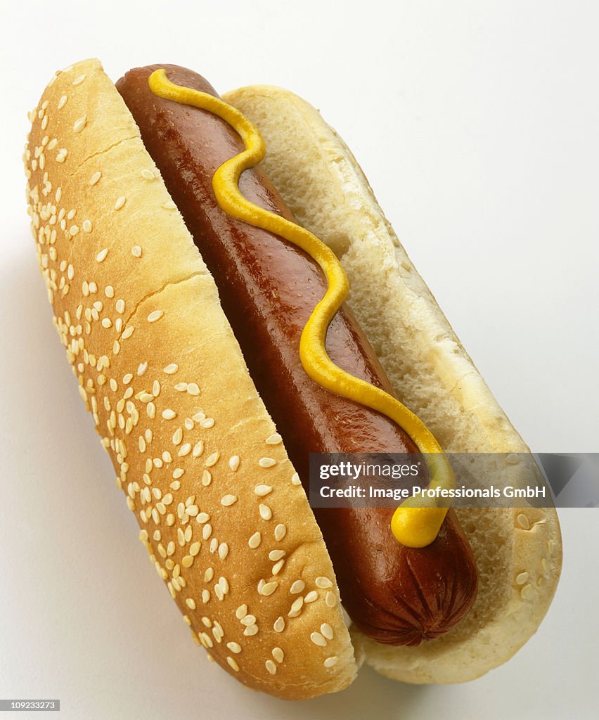 Hot dog on white background, close-up