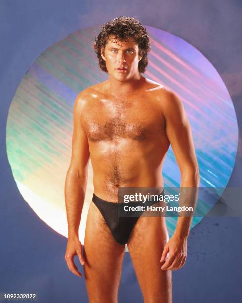 David Hasselhoff poses for a portrait in Los Angeles, California.