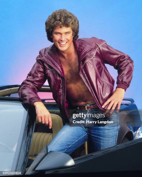 David Hasselhoff poses for a portrait in Los Angeles, California.