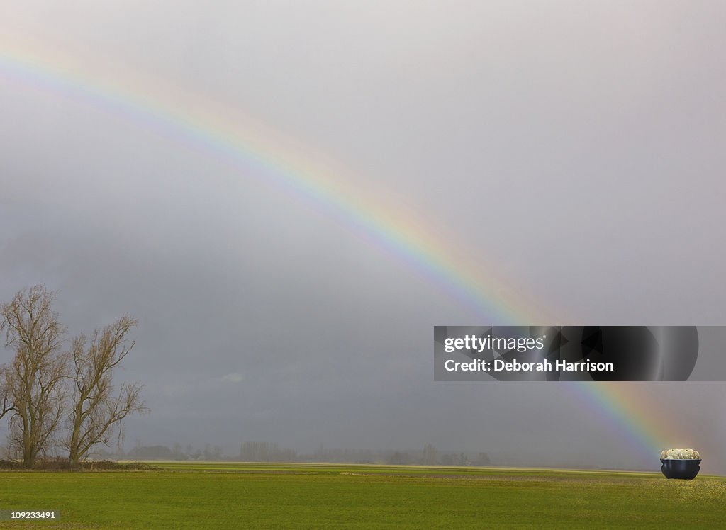 Pot of Gold Landscape