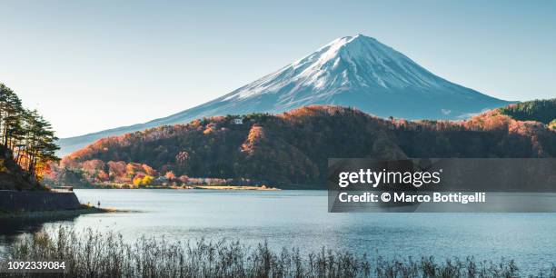 mt fuji and lake saiko, japan - lake kawaguchi imagens e fotografias de stock