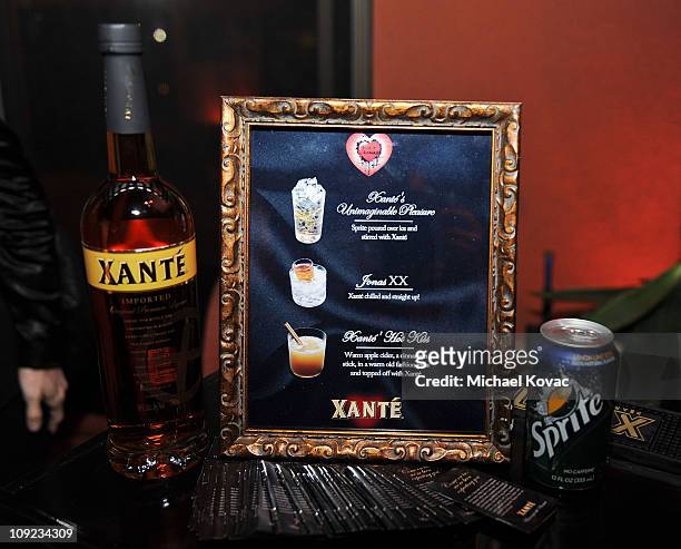 Atmosphere during the Grammy Xante Party with Jonas Hallberg and Ina Soltani at Private Residence on February 12, 2011 in Pacific Palisades,...