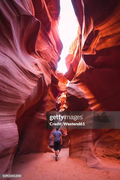 usa, arizona, tourist in lower antelope canyon - antelope canyon stock-fotos und bilder