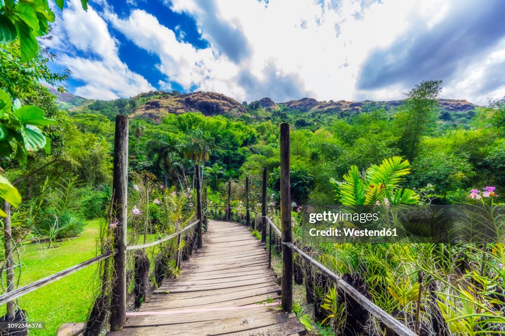 Fiji Islands, Lautoka, Garden of the Sleeping Giant, empty way