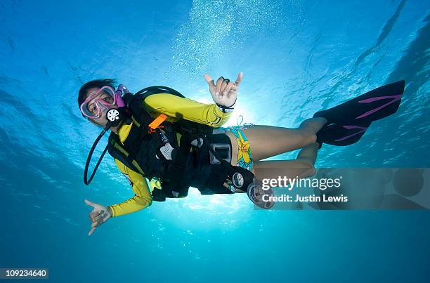 female diver underwater with the sun behind her. - woman diving underwater stock pictures, royalty-free photos & images