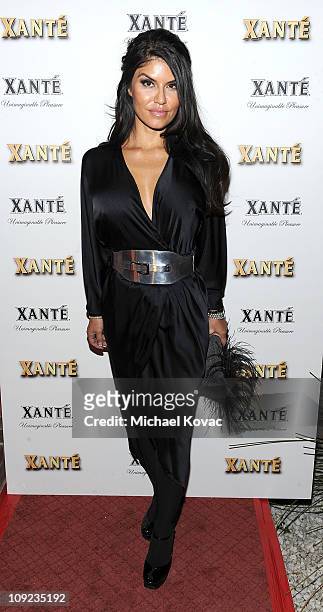 Guest attends the Grammy Xante Party with Jonas Hallberg and Ina Soltani at Private Residence on February 12, 2011 in Pacific Palisades, California.