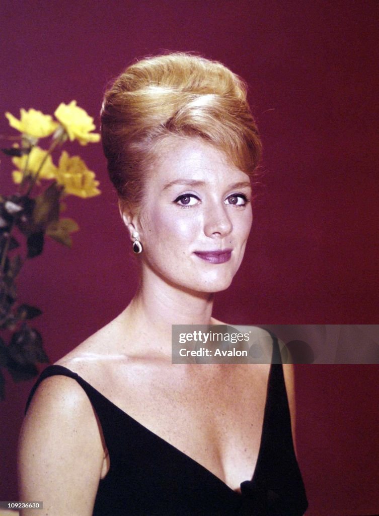 Hollywood Actress Inger Stevens. News Photo - Getty Images