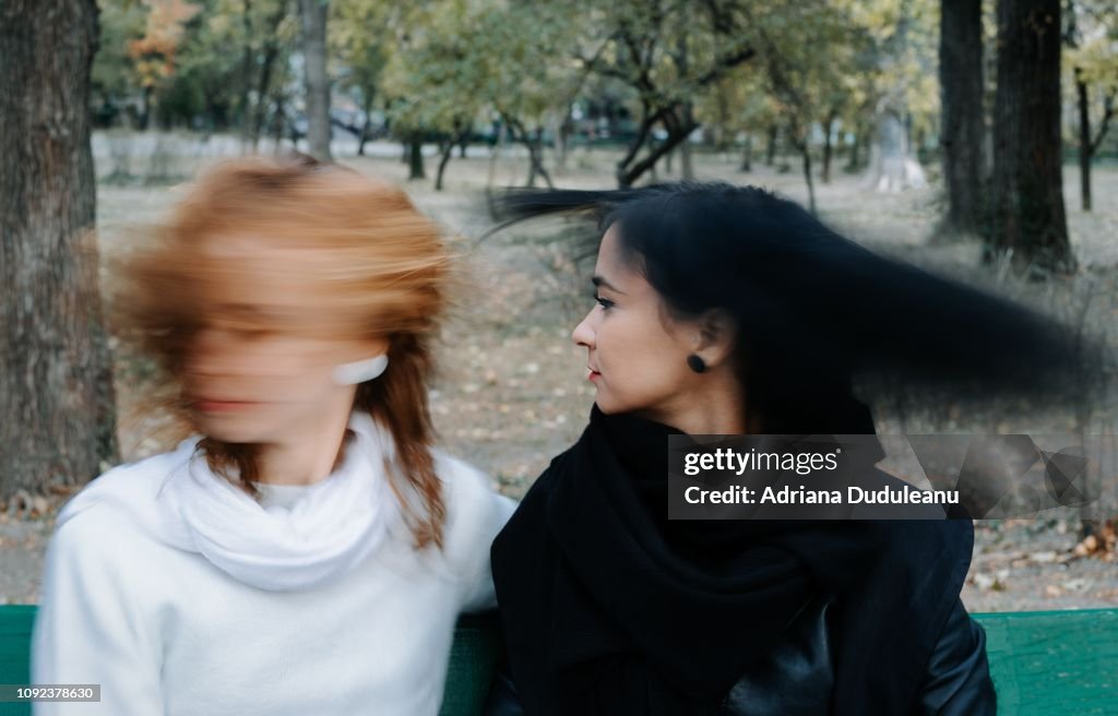 Lesbian Couple Shaking Heads While Sitting On Bench Against Trees In Park