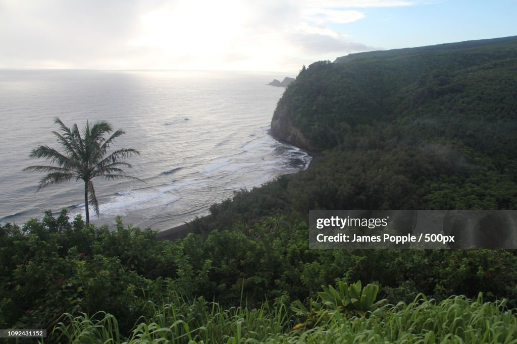 Pololu-valley-2015b.jpg