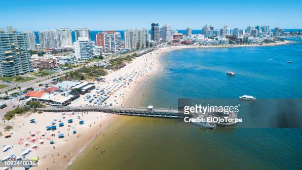 view of punta del este city, coastline, aerial view, drone point of view, uruguay - punta del este stock pictures, royalty-free photos & images