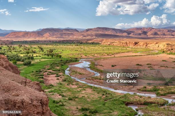 fertile river valley in north africa - morocco - saara imagens e fotografias de stock