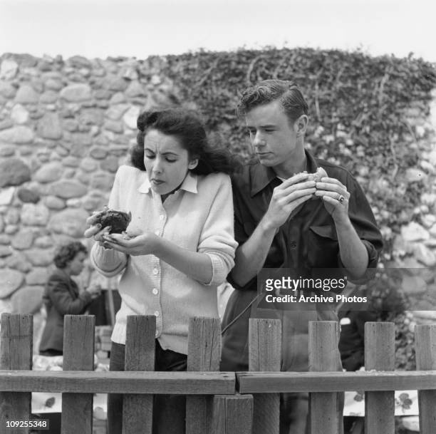 British-born actress Elizabeth Taylor tucks into a burger, in the company of her friend, actor Marshall Thompson , circa 1948.