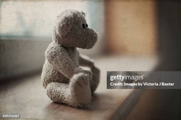 vintage teddy bear childs toy window sill - テディベア　無人 ストックフォトと画像