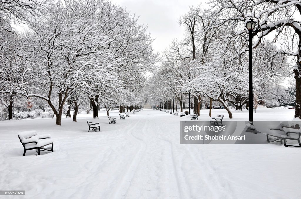 Snow covered benches and trees in Washington Park