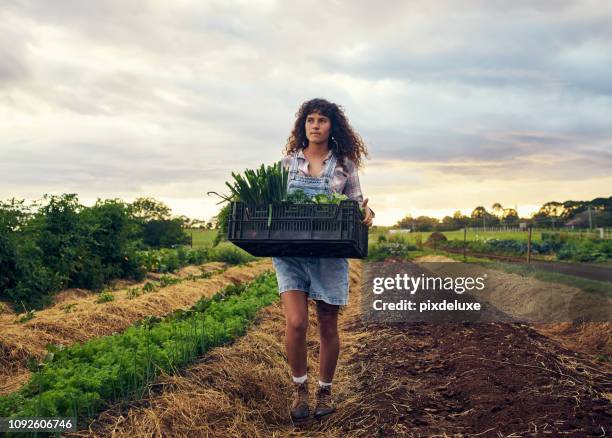 it's been quite a fruitful season - woman on walking in countryside stock pictures, royalty-free photos & images