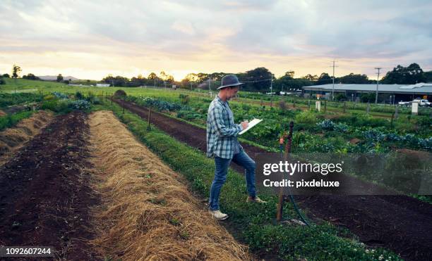 he keeps a diligent log of all his crops - ranch stock pictures, royalty-free photos & images