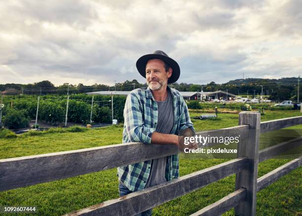 the best life is the farm life - australasia stock pictures, royalty-free photos & images