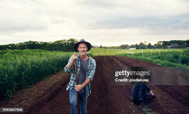 vi lägger stor omsorg på våra grödor - farmers australia bildbanksfoton och bilder