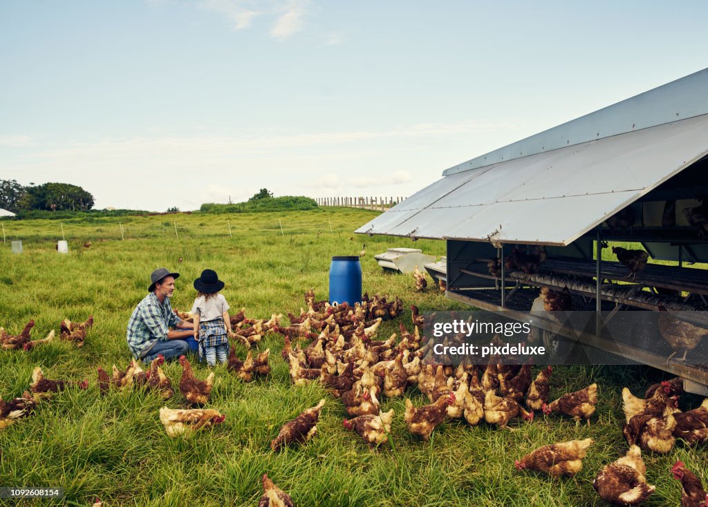 The farm will be yours when you grow up