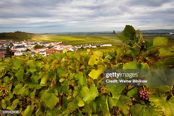 verzy, town view with vineyards - marne stock pictures, royalty-free photos & images