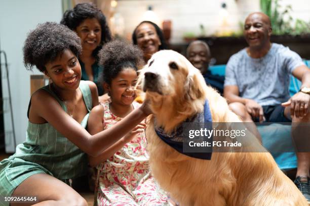 african hispanic family together at home and their dog - multi-generation family - multi generational family with pet stock pictures, royalty-free photos & images