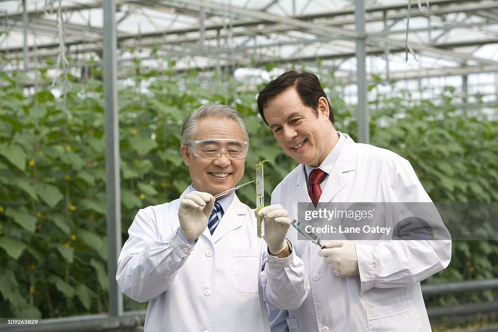 Scientists doing research in modern farm