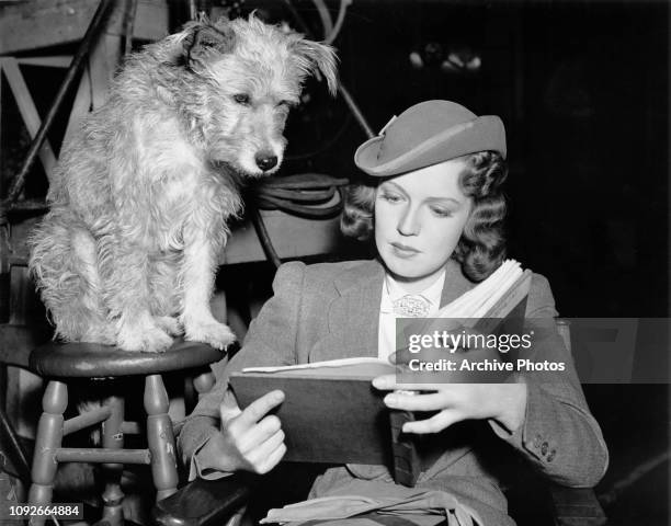 American actress Rita Johnson reading the script on the set of the film 'London By Night', accompanied by a canine actor, circa 1937.