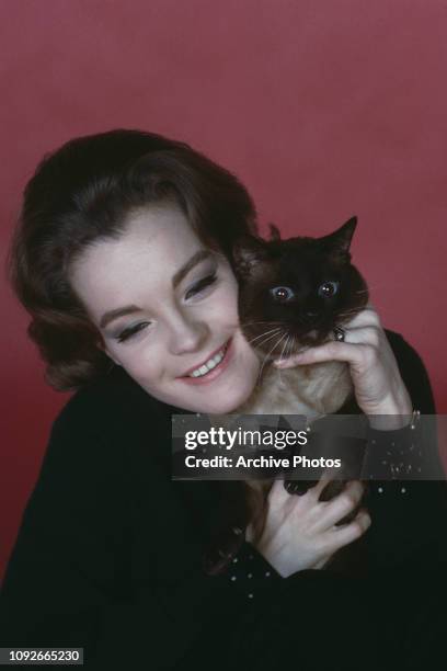 Actress Romy Schneider with a Siamese cat, circa 1965.