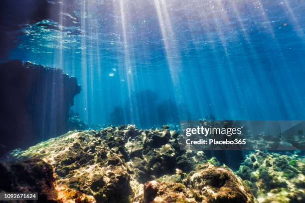 unterwasser seascape, ko haa insel 3, andamanensee, krabi, thailand - aquatic stock-fotos und bilder