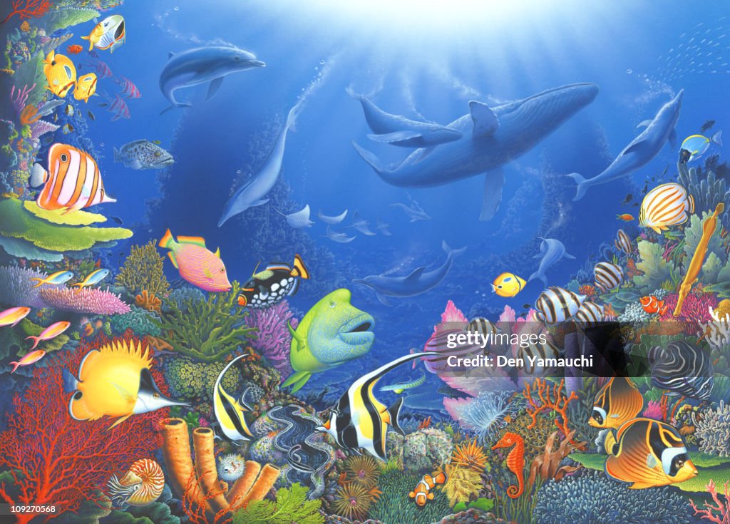 An underwater scene
