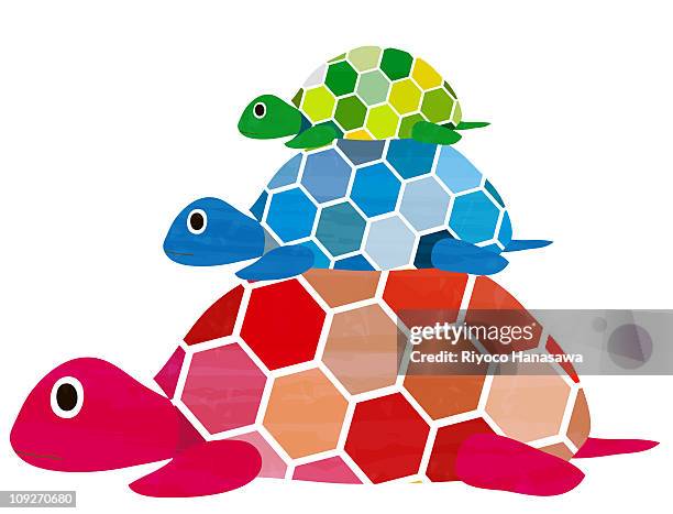 ilustrações de stock, clip art, desenhos animados e ícones de illustration of three turtles stacked according to size - tartaruga gigante