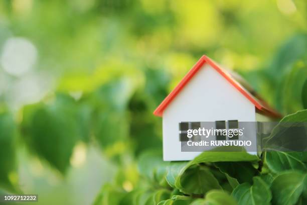 close up of model house on leaves - miniature dollhouse bildbanksfoton och bilder