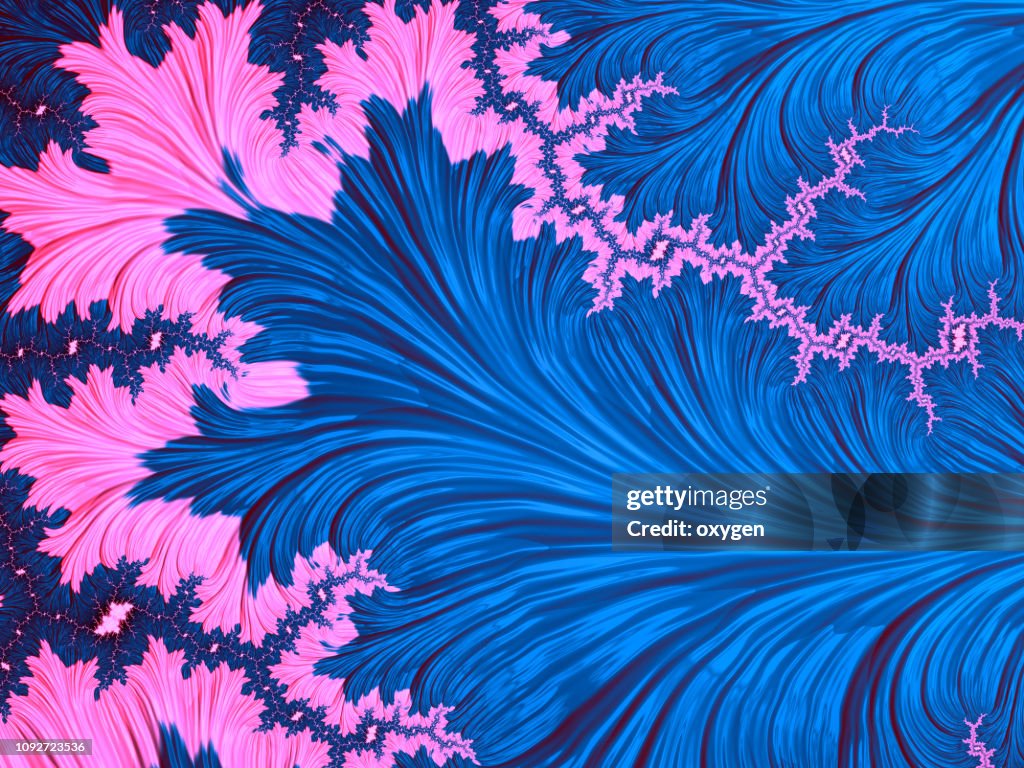 Pink and Dark Blue psychedelic fractal background like floral petal