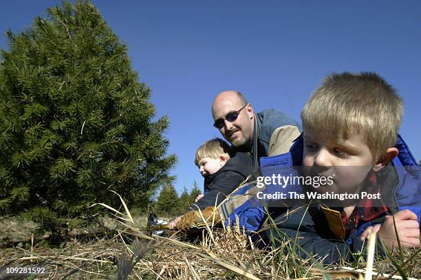 Cut your own Christmas tree farms are doing well. At Butler orchards, Jake Wales, 3-years old, right, waits his turn to help dad Kevin and his little...
