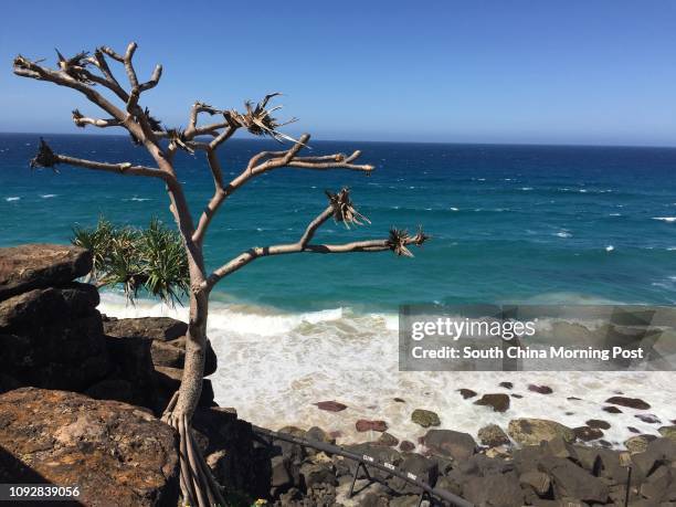 Point Danger Qld Point Lookout Queensland Photos and Premium High Res Pictures - Getty ...