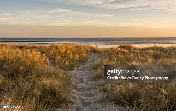 papamoa beach - new zealand beach stock pictures, royalty-free photos & images