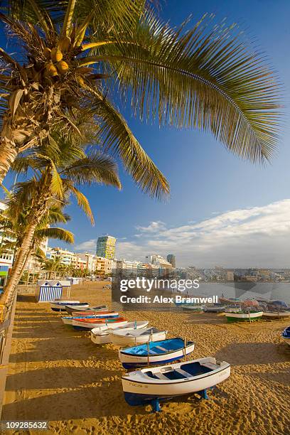 canteras beach - gran canaria bildbanksfoton och bilder